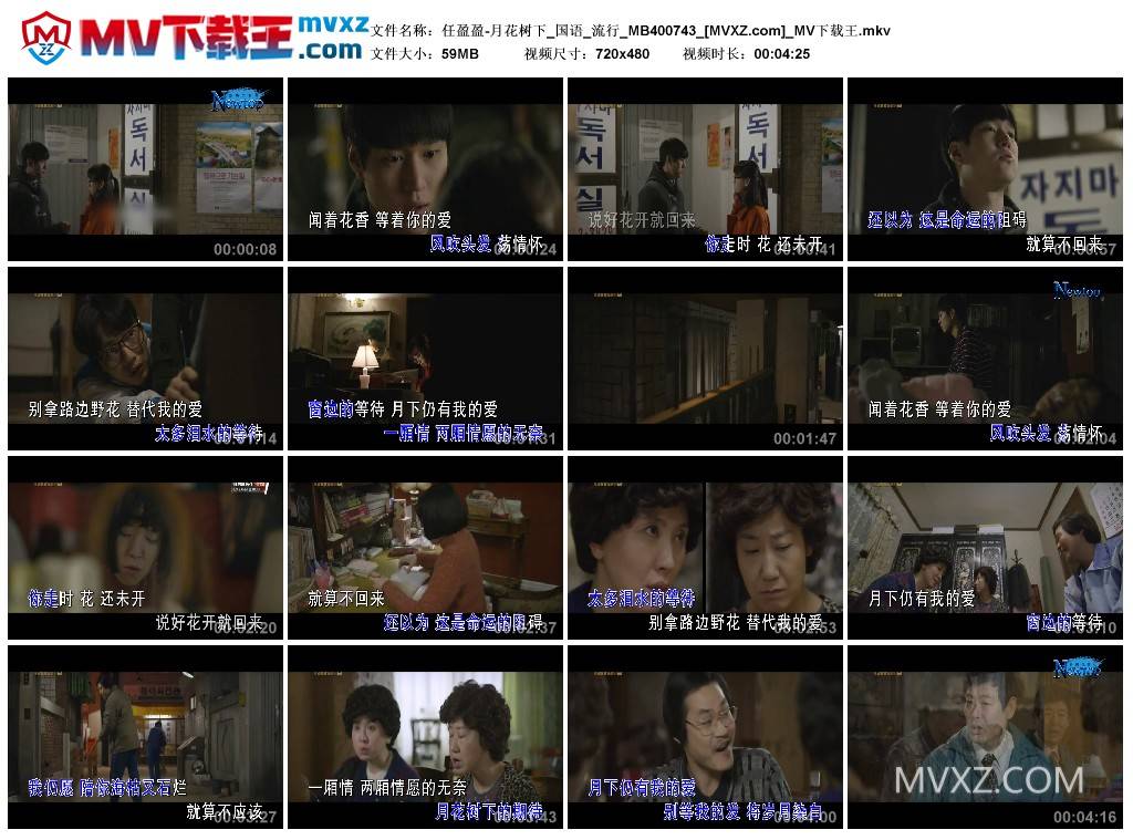 任盈盈-月花树下_国语_流行_MB400743